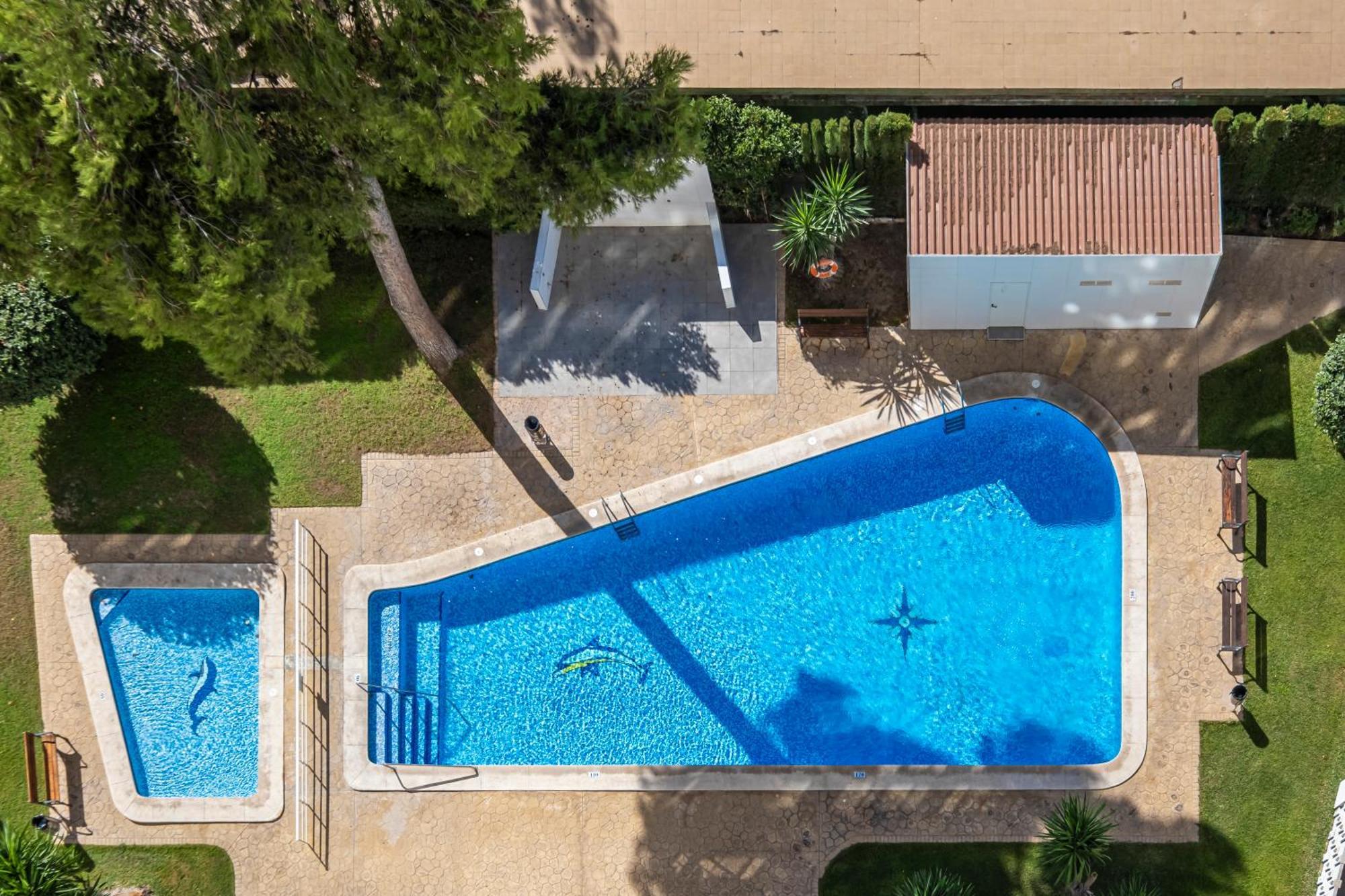 Albatros 14-10 Estudio Levante Beach Бенидорм Экстерьер фото